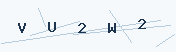 Verification code image